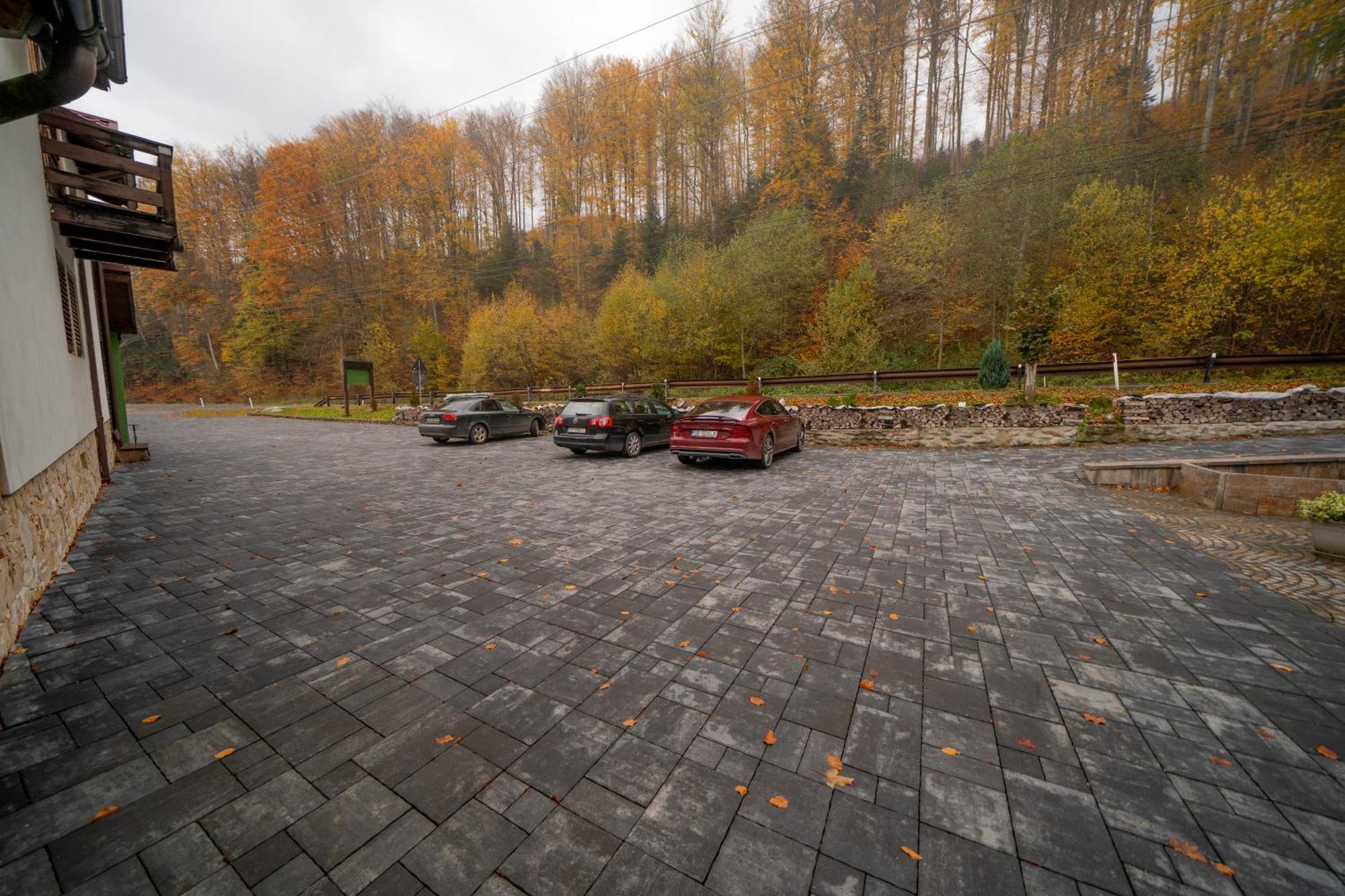 Popas Turistic Transfagarasan Hotell Cîrţişoara Eksteriør bilde